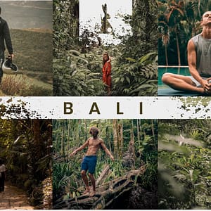 Presets web Bali, Grupo Alina