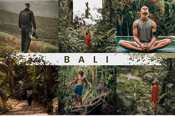 Presets web Bali, Grupo Alina